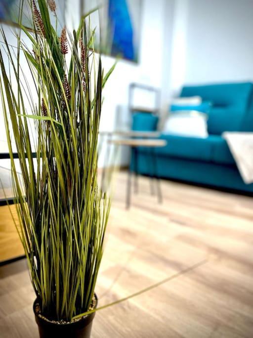 Mychoice Salmarina Apartment โรตา ภายนอก รูปภาพ